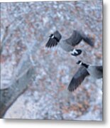 Flying Geese Metal Print