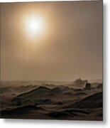 Foggy Morning In The Namib Desert Metal Print