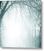 Foggy Old Trees Near The Road In Winter Metal Print