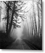 Foggy Passage Metal Print