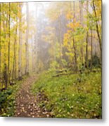 Foggy Winsor Trail Aspens In Autumn 2 - Santa Fe National Forest New Mexico Metal Print