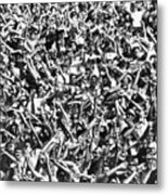 Football Crowd Metal Print