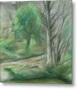 Forest Lane By A Pond Metal Print