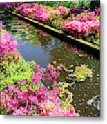 Pink Rododendron Flowers Metal Print