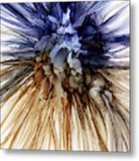 Foxtail Metal Print