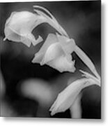 Fragile Flower Metal Print