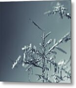 Fragile Snowflake - Monochrome Blue Metal Print