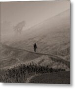 Free Like The Wind Metal Print