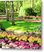 Fresh Lawn With Flowers Metal Print