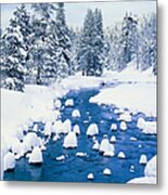 Fresh Winter Snow Covers Forest With Metal Print