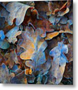 Frozen Oak Leafs - Abstract Natural Metal Print