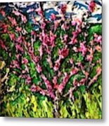 Peach Trees In The Garden Metal Print