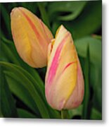 Garden Pastels Metal Print