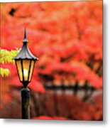 Garden Sentry Metal Print