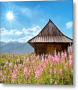 Gasienicowa Valley, Tatra Mountains Metal Print