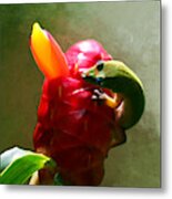 Gecko On Ginger - Paintography Metal Print