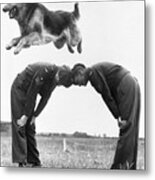 German Shepherd Jumping During Military Metal Print