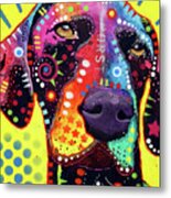 German Short Hair Pointer Metal Print