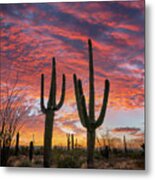 Giant Saguaro Sunset Metal Print