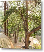 Glamping Tents Under Tall Trees With Sun Rising Through Leaves Metal Print