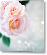 Glitter Of Roses Metal Print