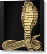 Gold King Cobra On Black Canvas Metal Print