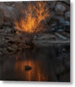Gold Plated Metal Print