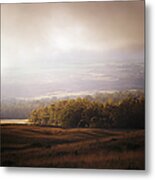 Golden Field And Forest Under Low Clouds Metal Print