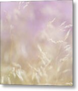 Golden Grasses And Purple Heather Swaying In The Breeze Metal Print