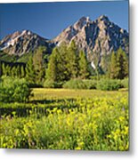 Golden Morning In Idaho P Metal Print