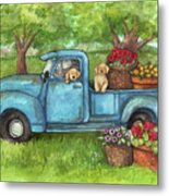 Goldens In Blue Truck With Flowers Metal Print