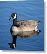 Goose Reflection Metal Print