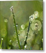 Grass Caked In Ice Metal Print