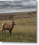 Grasslands South Dakota United States Of America Metal Print