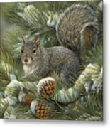 Gray Squirrel Metal Print