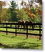 Grazing In Autumn Metal Print