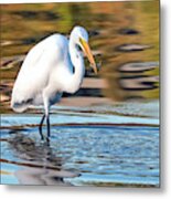 Great Egret 1311-101519 Metal Print