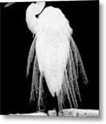 Great Egret In Full Bloom I - R Metal Print