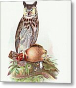 Great Horned Owl Metal Print