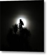Great Horned Owl with Winter Moon Metal Print