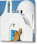 Greece, Cyclades, Mykonos, Street Cat Metal Print
