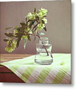 Green Leaves In Glass Jar And Tablecloth Metal Print