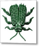 Green Plastic Bug Metal Print