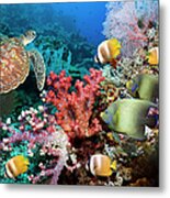 Green Sea Turtle Over Coral Reef Metal Print