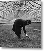 Greenhouse Gardening Metal Print