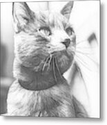Grey Cat Posing, Black And White Sketch Metal Print