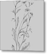 Grey Flower Sketch Illustration Metal Print