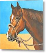 Hackamore Horse Metal Print