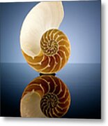 Half A Nautilus Shell In A Pool Of Water Metal Print