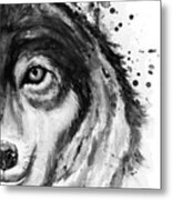 Half-faced Wolf Close-up Metal Print